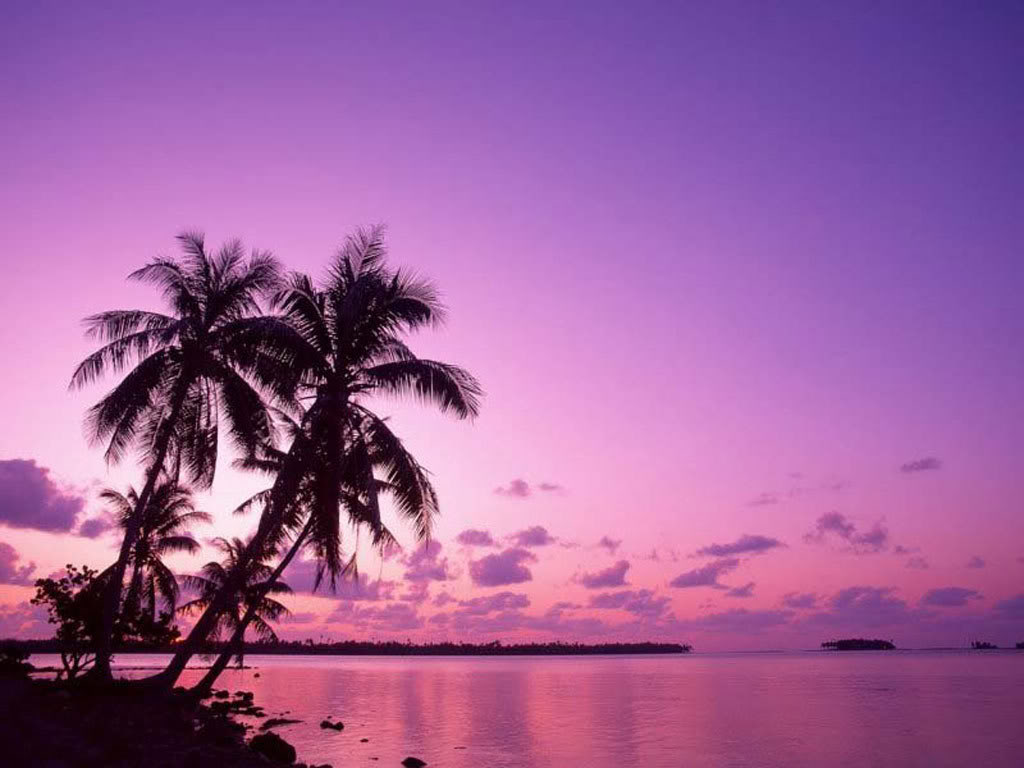 sunrise on a tropical beach